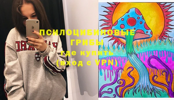 соль ск Абаза