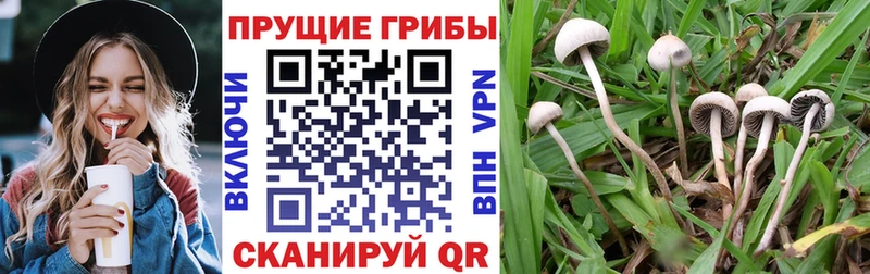 Псилоцибиновые грибы MAGIC MUSHROOMS  Истра 
