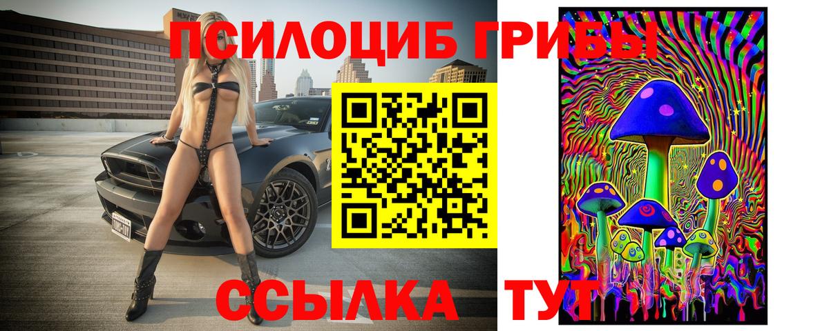 Истра  Псилоцибиновые грибы Magic Shrooms  Вход с VPN 